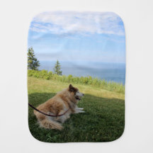 Suka Enjoying Cape George