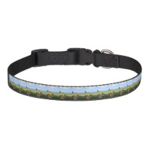 Suka Enjoying Cape George Dog Collar