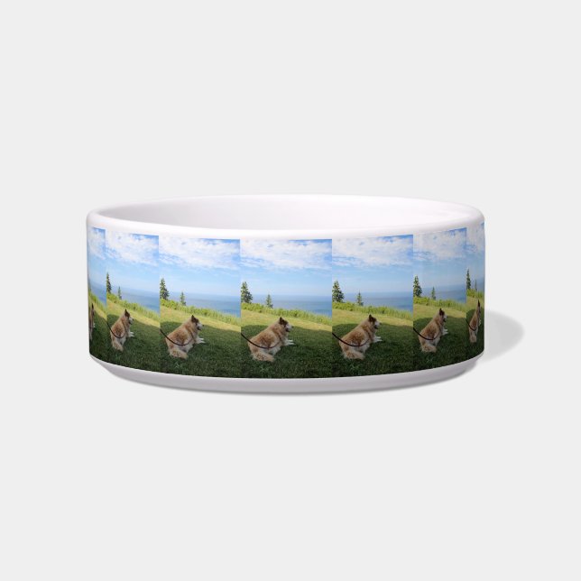 Suka Enjoying Cape George Pet Bowl (Front)