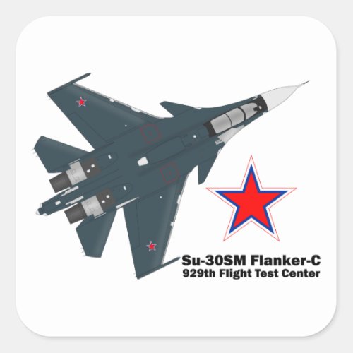 Sukhoi Su_30SM Flanker_C VKS Square Sticker