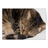Suki Cards (Front Horizontal)