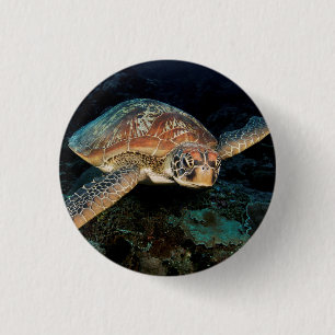 Sulawesi Green Sea Turtle Button