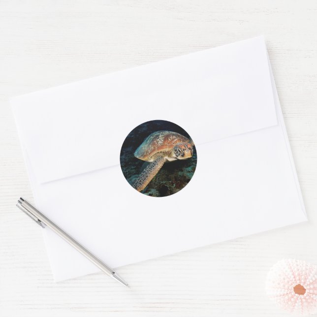 Sulawesi | Green Sea Turtle Classic Round Sticker (Envelope)