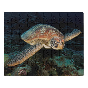 Sulawesi Green Sea Turtle Jigsaw Puzzle