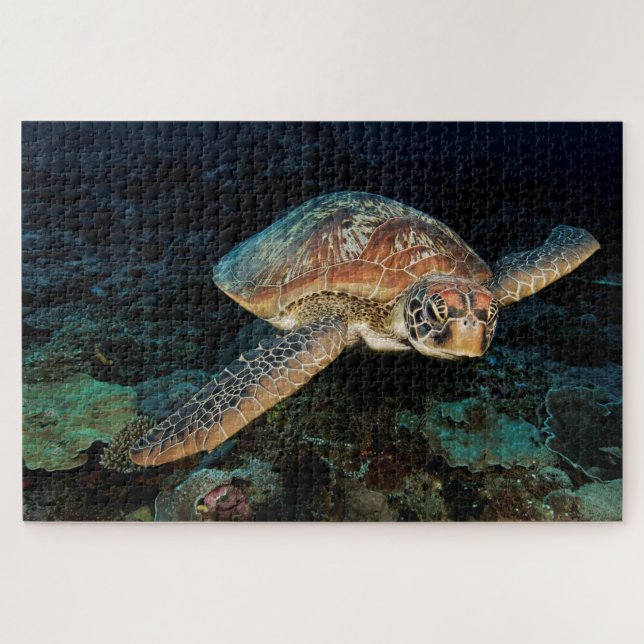 Sulawesi | Green Sea Turtle Jigsaw Puzzle (Horizontal)
