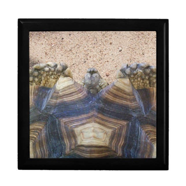 Sulcata Tortoise and Sand Magnet Stone Coaster Gift Box (Front)