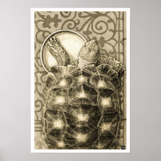 Sulcata Tortoise Art Nouveau Ink Sepia drawing Poster