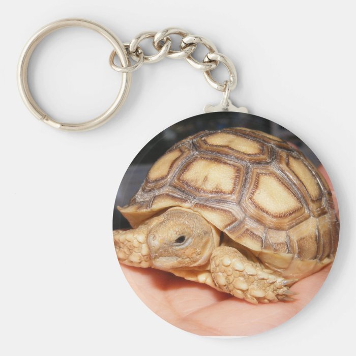 Sulcata Tortoise Key Chain