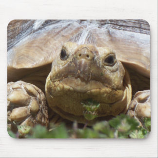 Sulcata Tortoise Mouse Pad