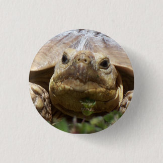 Sulcata Tortoise Pinback Button