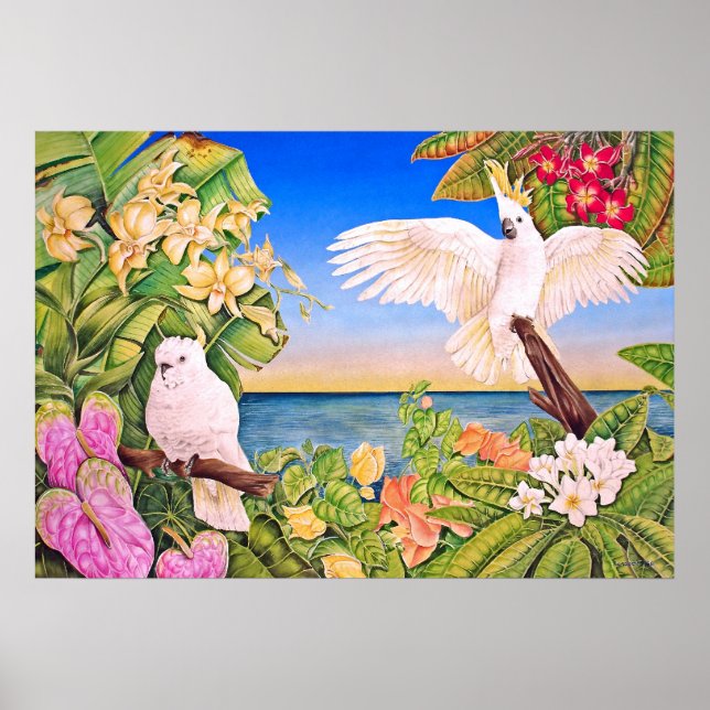 Sulfer-crested Cockatoos Poster (Front)