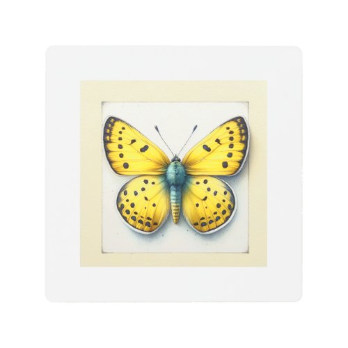 Sulfur Butterfly 030624IREF126 _ Watercolor Metal Print