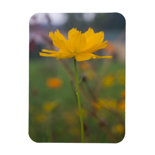 Sulfur Cosmos 02 Magnet (Vertical)