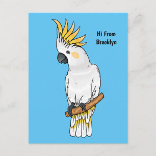 Sulfur-crested cockatoo bird cartoon illustration postcard