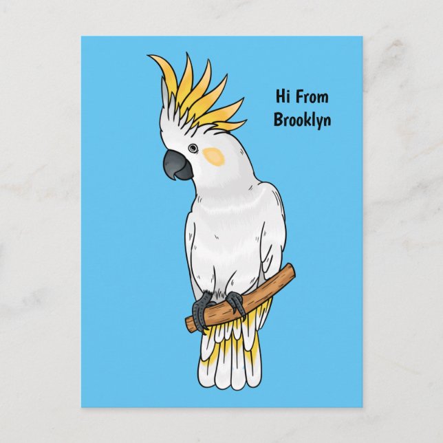 Sulfur-crested cockatoo bird cartoon illustration postcard (Front)