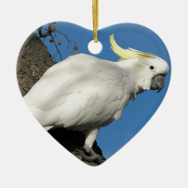 Sulfur crested cockatoo ceramic ornament (Front)