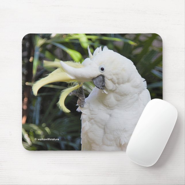Sulfur-Crested Cockatoo Parrot Bird Waves Mouse Pad (With Mouse)