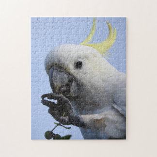Sulfur-Crested Cockatoo Puzzle