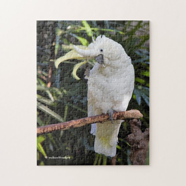 Sulfur-Crested Cockatoo Waves at the Photographer Jigsaw Puzzle (Vertical)