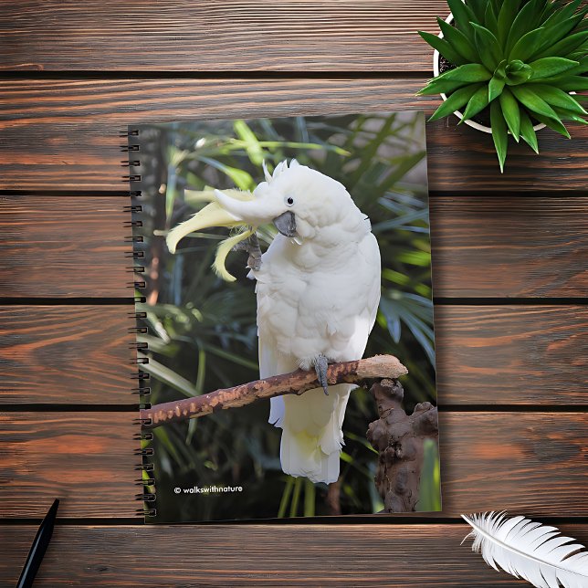 Sulfur-Crested Cockatoo Waves at the Photographer Notebook (Friendly Sulfur-Crested Cockatoo Waves at the Photographer Journal Cover Photo)