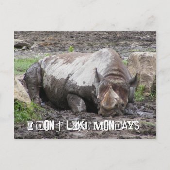Sulking Rhino Postcard by Customizables at Zazzle