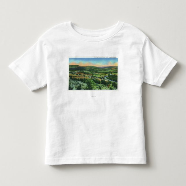 Sullivan Mountain View of the City Toddler T-shirt (Front)