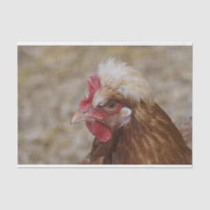 Sulmtaler Hen Tissue Paper