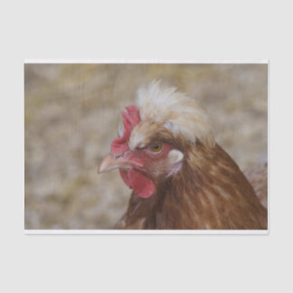 Sulmtaler Hen Tissue Paper