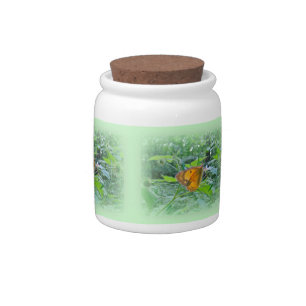 Sulpher Butterfly Candy Jar