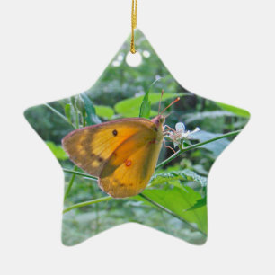 Sulpher Butterfly Ceramic Ornament