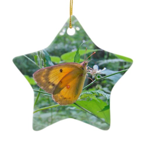 Sulpher Butterfly Ceramic Ornament