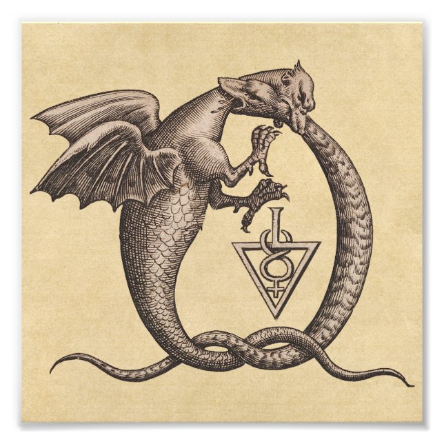 Sulphur and Mercury Alchemy Sigils Photo Print (Front)