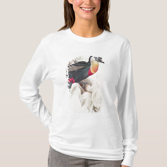 Sulphur and white breasted Toucan, 19th century T-Shirt (Front)