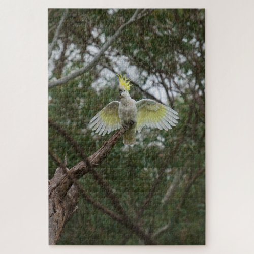 Sulphur_crested Cockatoo Bird Animal 1014 pieces Jigsaw Puzzle