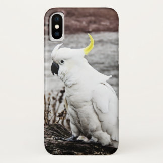 Sulphur-Crested Cockatoo iPhone X Case