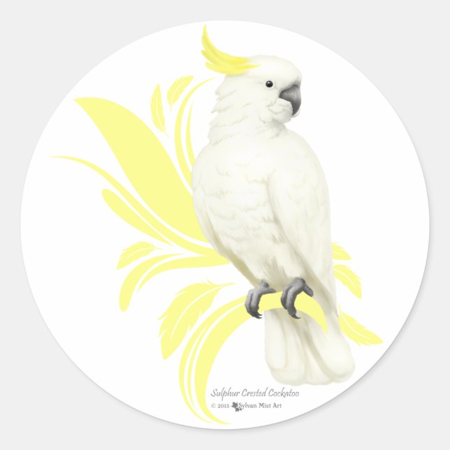 Sulphur Crested Cockatoo Classic Round Sticker (Front)