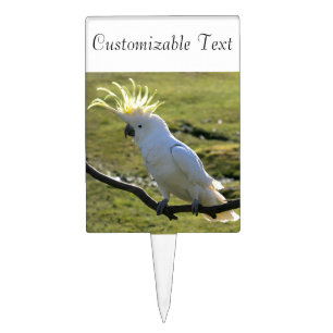 Sulphur-Crested Cockatoo in Australia Cake Topper