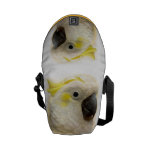 Sulphur Crested Cockatoo Realistic Painting Messenger Bag