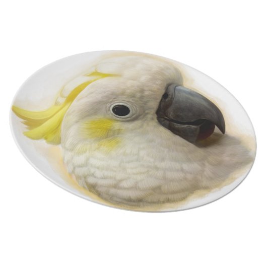 Sulphur Crested Cockatoo realistic painting Melamine Plate (Right Side)