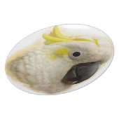 Sulphur Crested Cockatoo realistic painting Melamine Plate (Left Side)
