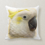 Sulphur Crested Cockatoo Realistic Painting Pillow