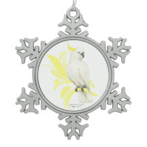 Sulphur Crested Cockatoo