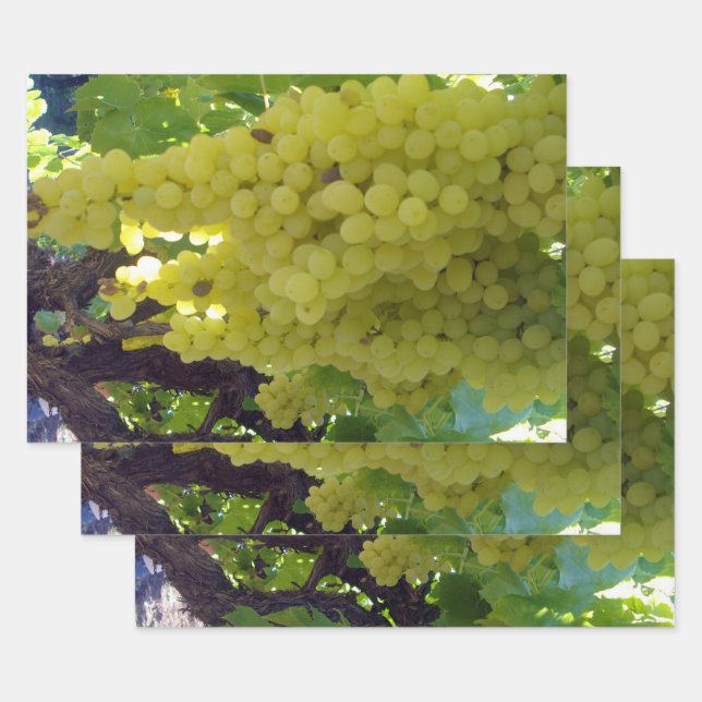Sultana Grapes On A Grape Vine,  Wrapping Paper Sheets (Set)