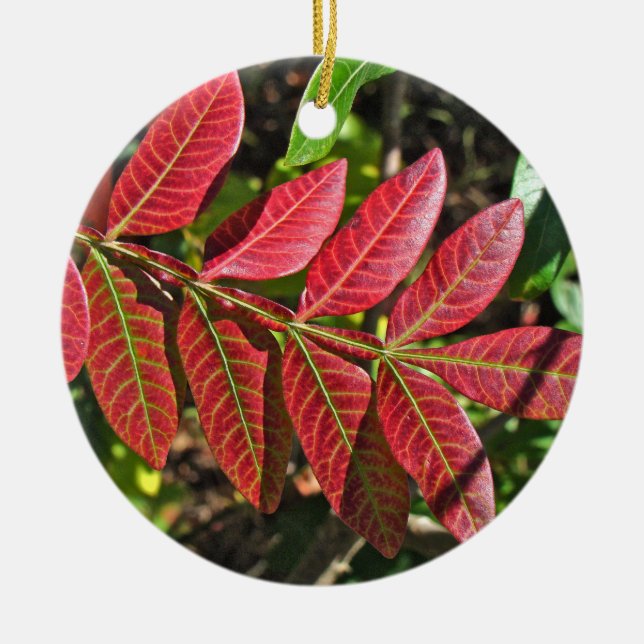 Sumac Leaves In Autumn Ceramic Ornament (Front)