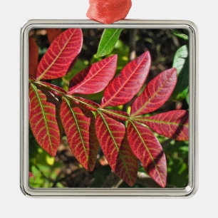 Sumac Leaves In Autumn Metal Ornament