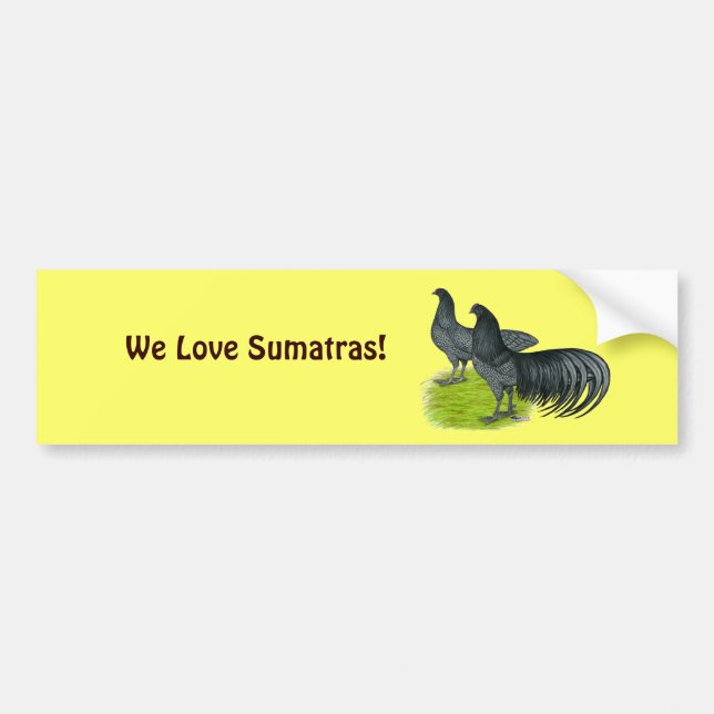 Sumatra:  Blue Pair Bumper Sticker (Front)