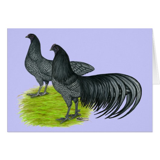 Sumatra: Blue Pair Cards (Front Horizontal)