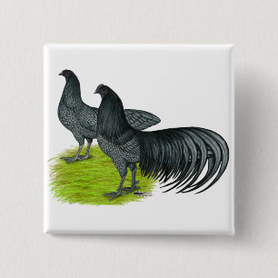 Sumatra: Blue Pair Pinback Button