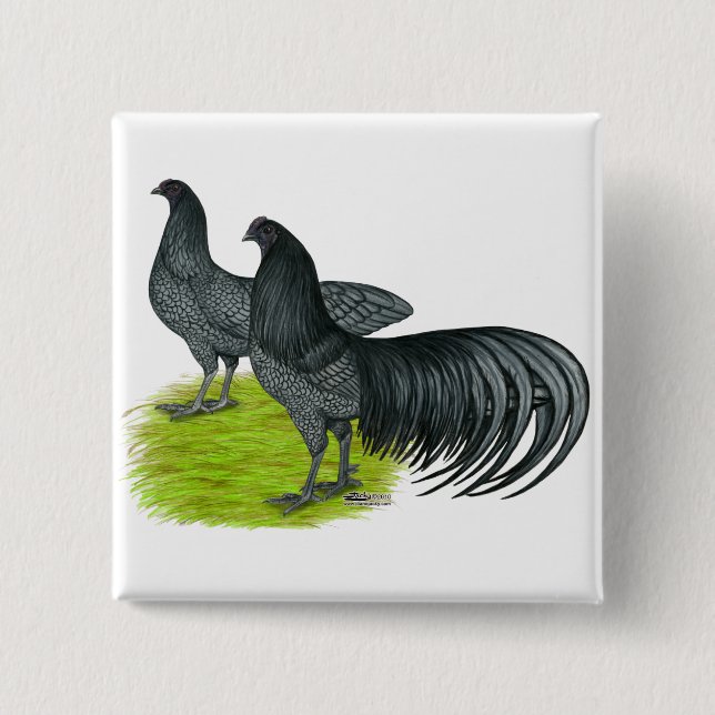 Sumatra:  Blue Pair Pinback Button (Front)