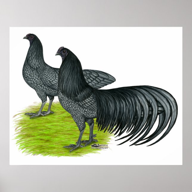 Sumatra:  Blue Pair Poster (Front)